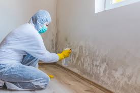 Forensic Mold Investigation in Mansfield, OH