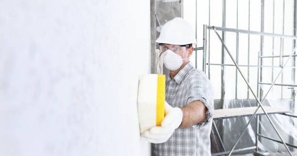 Reliable Mansfield, OH Mold Inspection Solutions